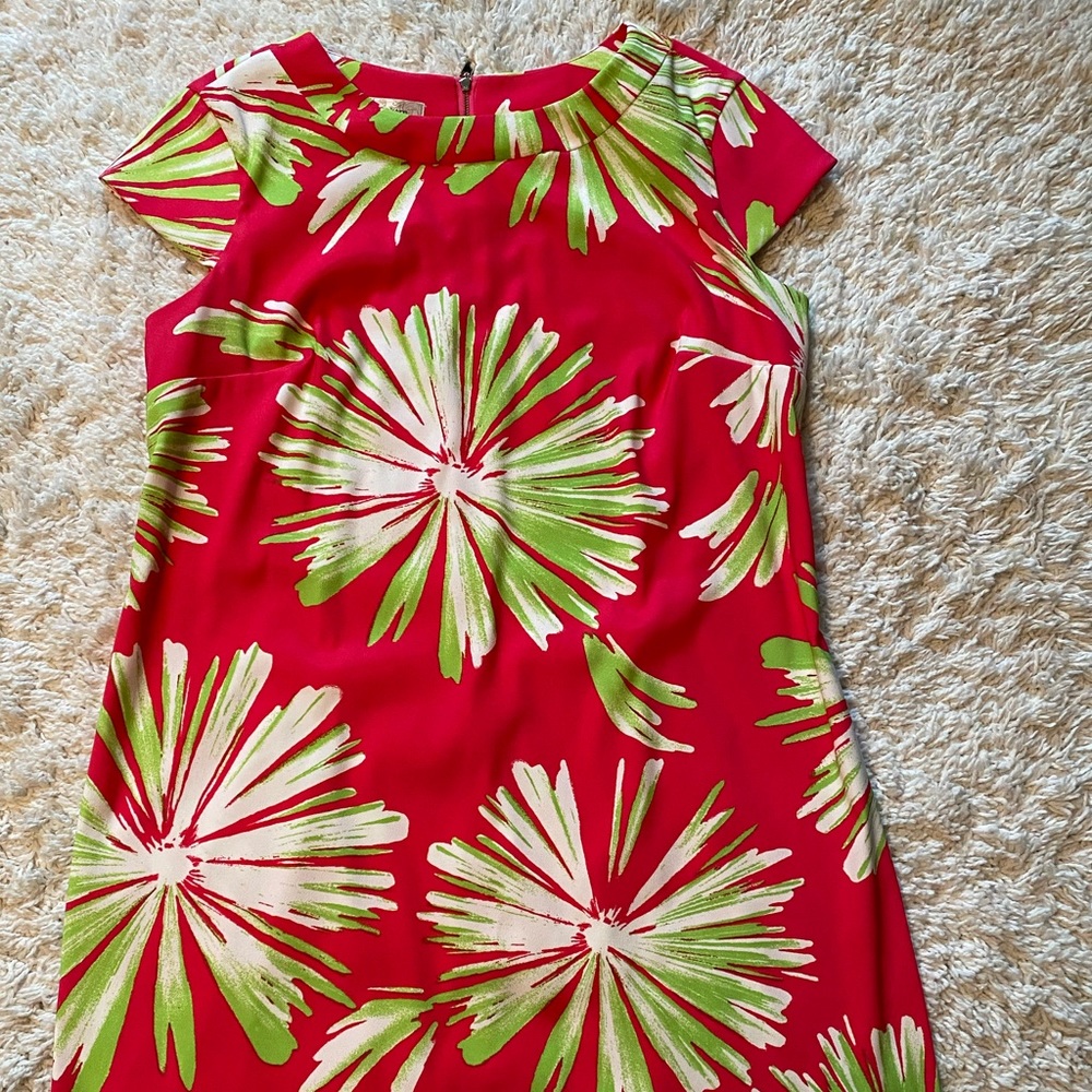 Dressbarn dress size 16
